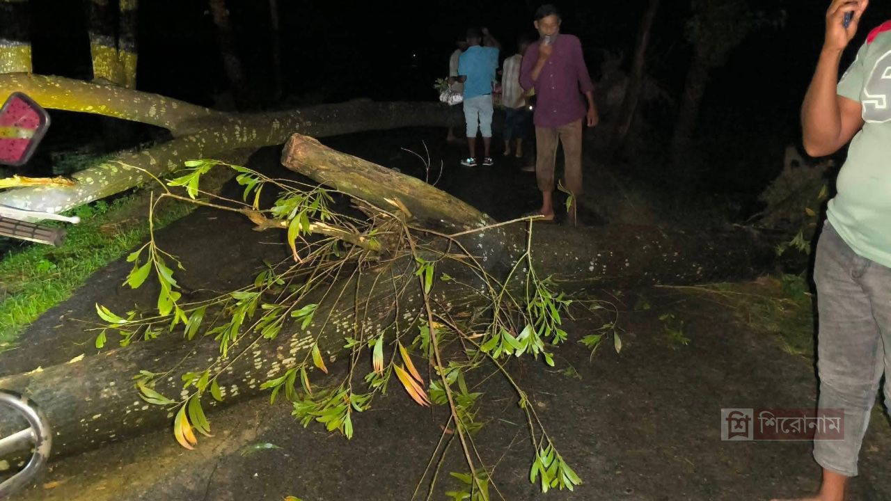 আকস্মিক ঝড়ে গাছ উপড়ে সড়কে, যান চলাচলে বিঘ্ন