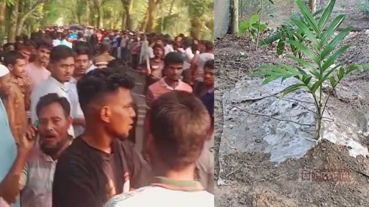 এক স্বপ্নে তোলপাড় পুরো গ্রাম, ১৮ দিন পর খুলে ফেলা হলো তরুণীর কবর